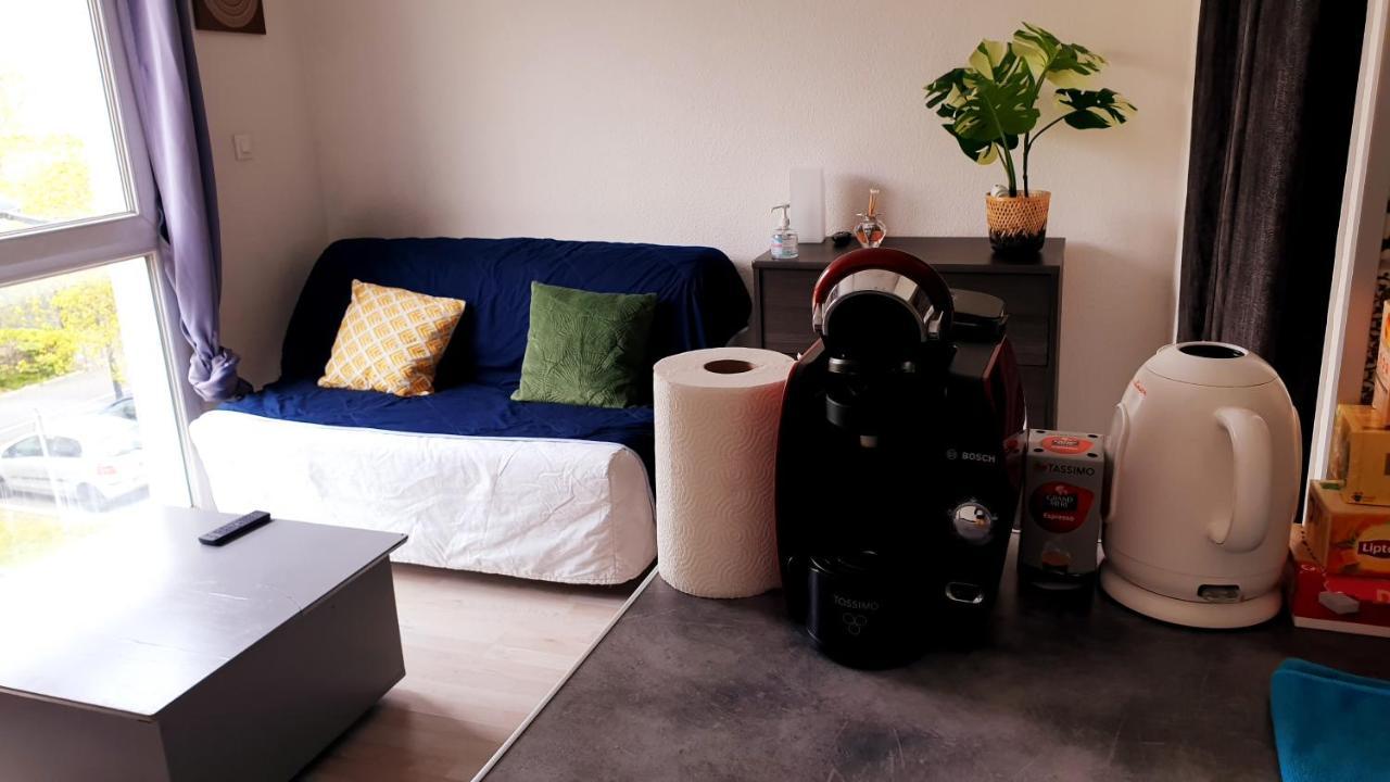 Studio Individuel - Le Musset & Parking Gratuit Devant L'Immeuble Lägenhet Grenoble Exteriör bild